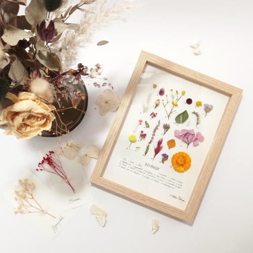 Wordpress webdesign Atelier Echinops fleuriste